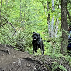 Vicky Jagusch-Torres