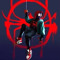 Spider Man