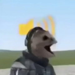 Huииer