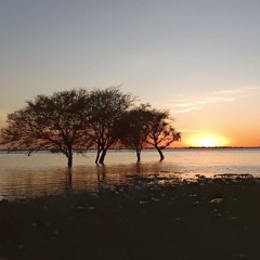 مشوار - البلابل