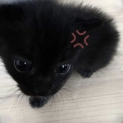 k ♡