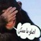 Mohmed Alsondy Alsondy