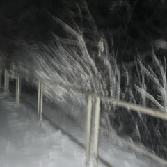 умалишенный