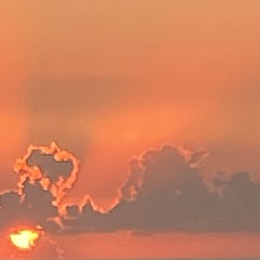 Green Tea^תה ירוק