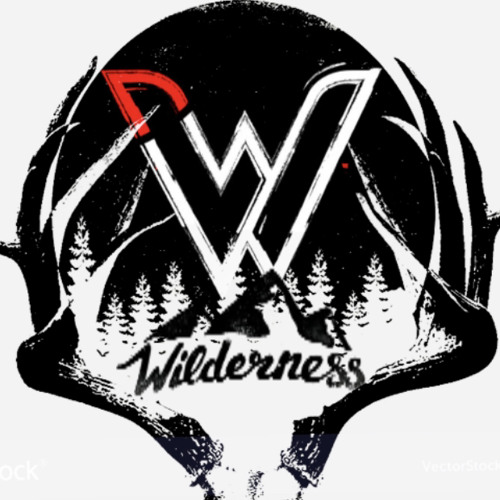Wilderness11’s avatar
