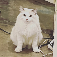 hmmwhosdis