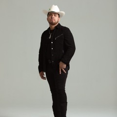 Los Gemelos de Sinaloa