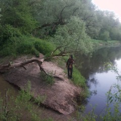 riyad_vision