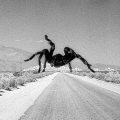 Spider From Mars