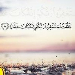 Safaa Abodonia