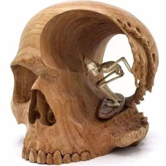 Casey Levi Greenfield