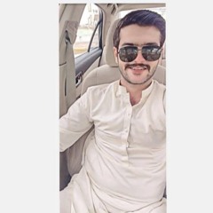 Chaudhary Shani