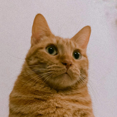 Neech