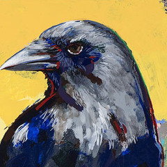 Crow