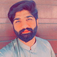 Makhdoom Ali Hashmi