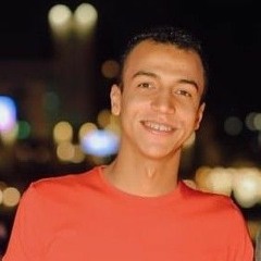 Hazem Abu Elftouh