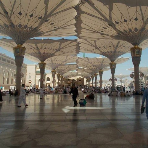 الشيخ أنس السلطان القصيدة المحمدية
