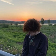 Мц Папа выпил мое пиво