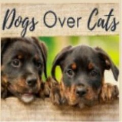 DogsOCats