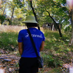 Losenti