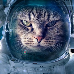Cat In The Space 2