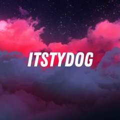 Itstydog