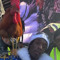 roosterised