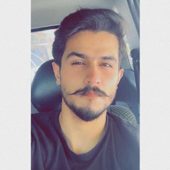 Muneeb Abbasi 🍁