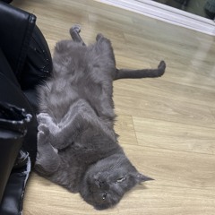 수고했어 오늘도,또 와 내일도