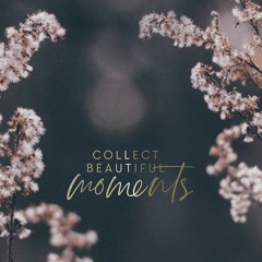 Collect Beautiful Moments
