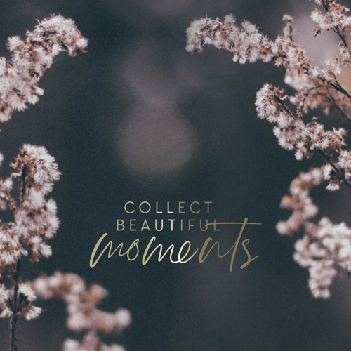 Collect Beautiful Moments’s avatar