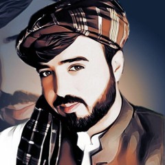 Habib Tareen