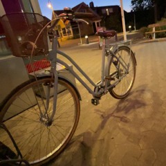 🏝️Flyg turen till bahamas🏖️