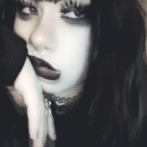 elvenia ♡’s avatar