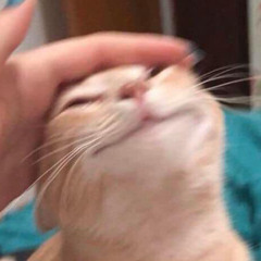 romi (ﾉ^ヮ^)ﾉ*:・ﾟ✧