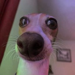 vineckycxz