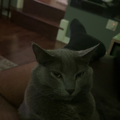 Whitcliffe Roberts Jr.