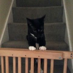 Only Love Can Set You Free (N-Trance cover)