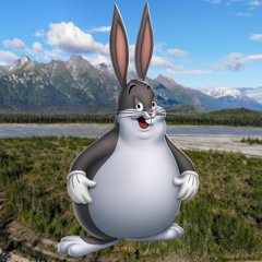 stop deleting good music