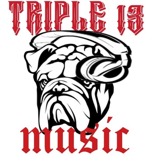 TRIPLE 13 MUSIK’s avatar