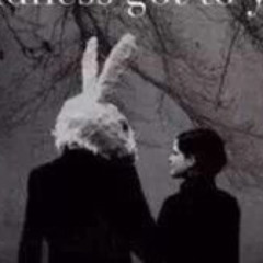 black rabbit