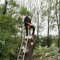 Sander Delmeire