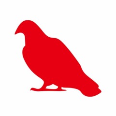 Red Pigeon Official