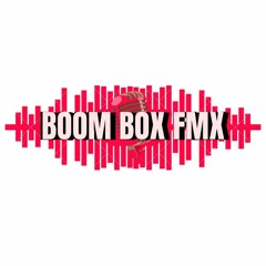 Boom Box FMX Radio