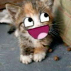 Kibou