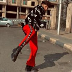 محمود تريزيجية