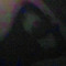 crvt