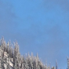 internet archaeologist