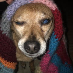 yep 💫  ✨  ⚡️