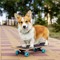 ChrisTheDoge